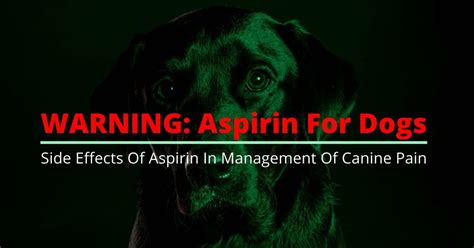 Aspirin For Dogs Side Effects And Safe Alternatives To Aspirin