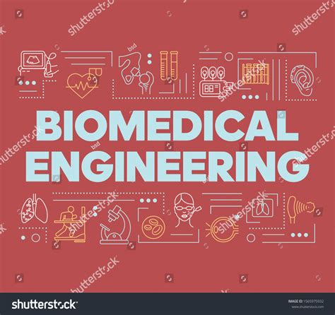 Biomedical Illustration Over 16777 Royalty Free Licensable Stock