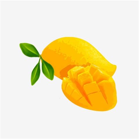 Hand Painted Fruit Mango Can Be Used As A Commercial Element Mango