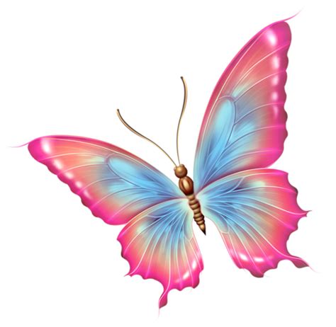 Рисованные бабочки | scrapbook butterfly | Butterfly clip art, Butterfly drawing, Butterfly