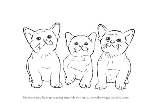 Kitten Pictures To Draw How To Draw A Super Cute Kitten Step By Step