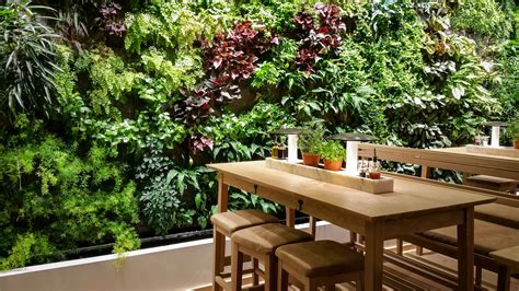 Artificial Green Walls Archives Instant Green Direct