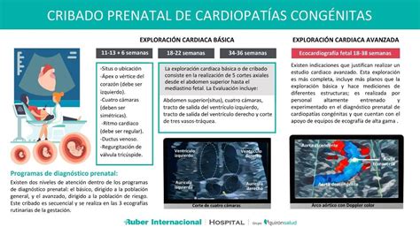 Cardiopatías Congénitas Los Avances En La Resonancia Magnética Fetal