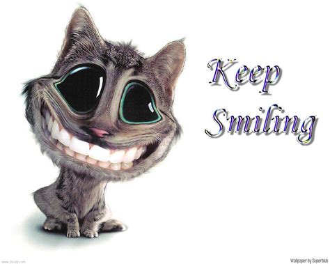 funny wallpapers-hd wallpapers-Desktop wallpapers: Funny wallpapers desktop