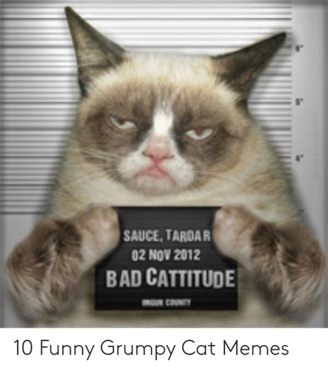 25 Funny Bad Cat Memes Factory Memes
