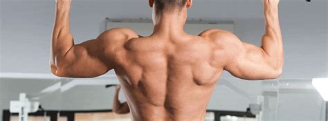 Best Exercises For Back Muscle Strength Mens Fit Club
