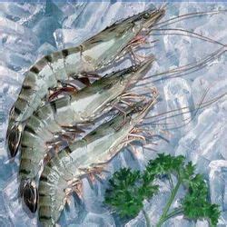 Tiger Prawns Manufacturers Suppliers Exporters