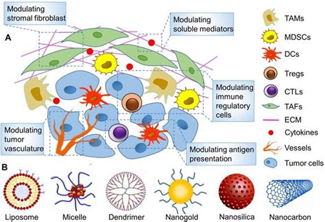 Engineering Nanoparticles For Targeted Remodeling Of The Tumor