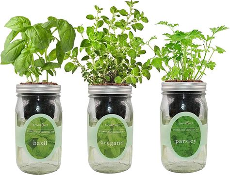 Environet Hydroponic Herb Growing Kit Set Self Watering