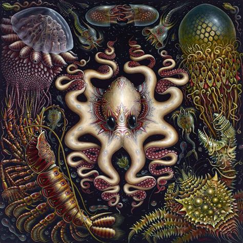 Seafauna Psychedelic Art Octopus Art Art