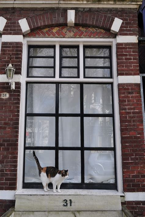 The Charm Of Dutch Windows And Doors Bored Panda