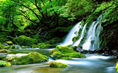 Green Waterfall River Rocks Covered With Green Moss Forest Waterfall Wallpaper Hd High
