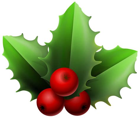Mistletoe Clip art - Christmas Mistletoe PNG Clipart Image ...