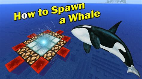 How To Spawn A Whale Minecraft Pe Youtube