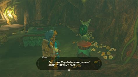 This Is My New Favorite Text Box Rbreathofthewild