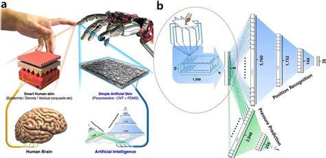 The Basic Concept For E Skin And Dnn Architecture For Reliable Sensing