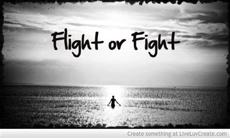 So you either fight or flight (meaning escape the perceived danger). Fight Or Flight Quotes. QuotesGram