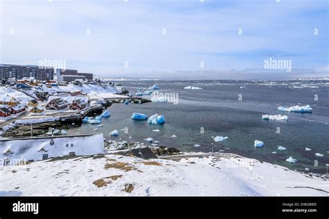Nuuk Old Harbor Panorama With Blue Icebergs Drifting In The Lagoon