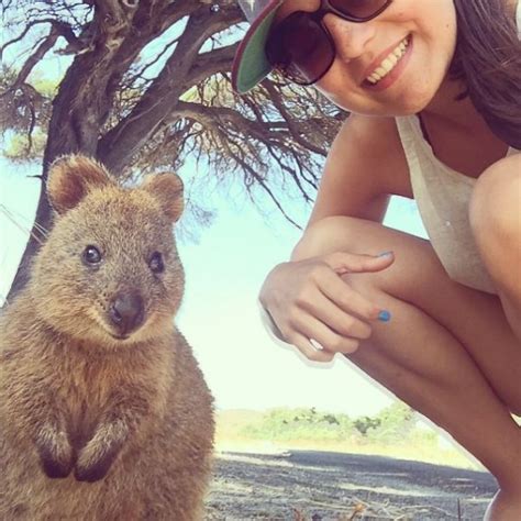 The Quokka Selfie Just Look At That Grin Travels And Living