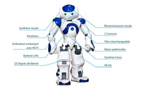 Nao Robot Humanoide Intuiti Inside