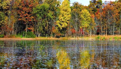 Beautiful Autumn Lake Stock Image Image Of Autumn Golden 3596673