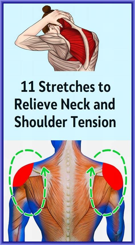 Neck And Shoulder Exercises Neck Exercises Stretching Exercises Yoga