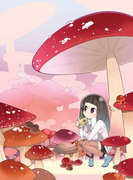 Mushroom Nature Zerochan Anime Image Board