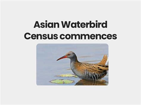 Asian Waterbird Census Commences In Ap Civils360 Ias