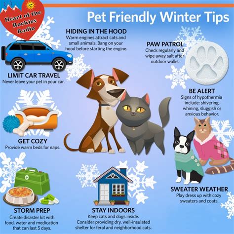 Winter Weather Tips To Keep Your Pets Safe And Healthy Heart Of The