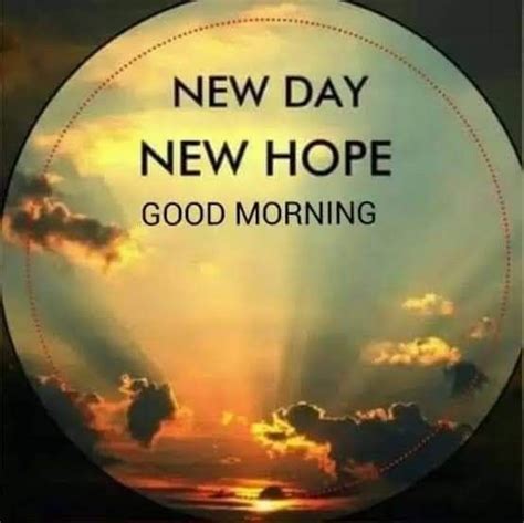 Pin By Vijaya On Good Morning In 2020 Good Morning Quotes Morning