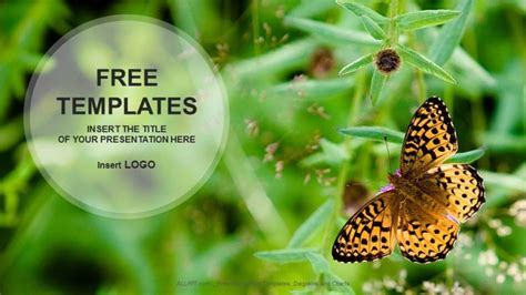 Butterfly On Flower Nature Powerpoint Templates