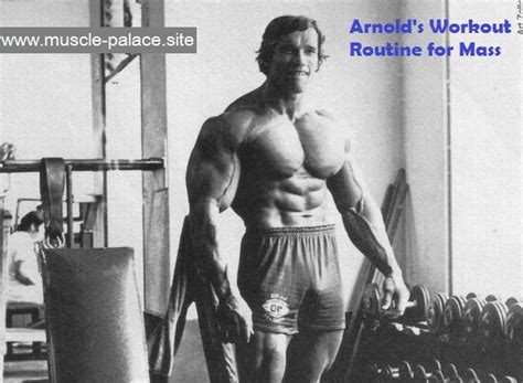 Check spelling or type a new query. Muscle Palace: Arnold's Workout Routine for Mass
