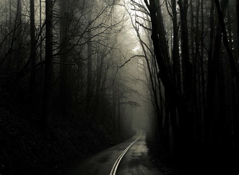 Download Enigmatic Dark Gothic Forest Path Wallpaper