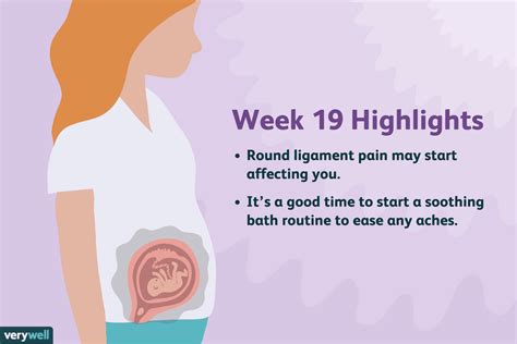 19 Weeks Pregnant Symptoms Baby Development And More