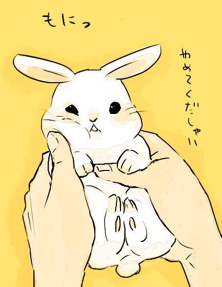 Rabbit Animal Rabbit Anime Bunny