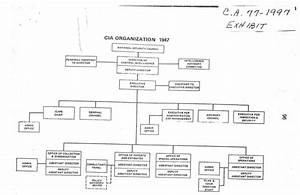 Cia Organization Chart