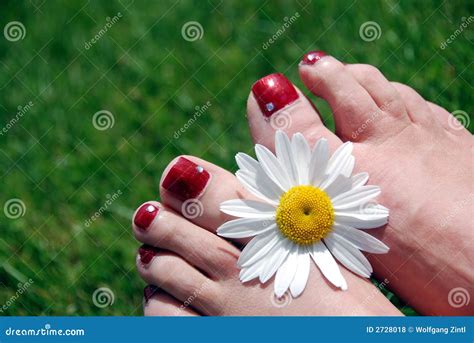 Flower And Feet Stock Photo Image Of Bare Natural Polished 2728018