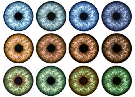 Die Bedeutung Und Das Geheimnis Von Augenfarben Augen Farbe