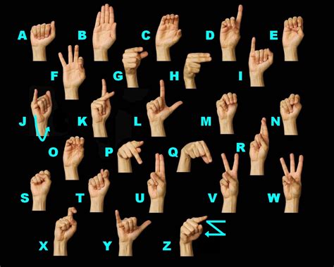 ASL Tutor Online - ASL Tutor | American sign language, Sign language ...