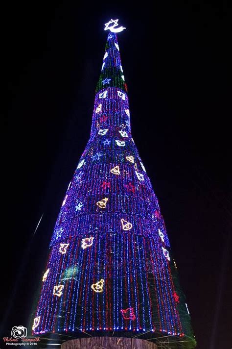Worlds Tallest Christmas Tree Colombo 2016 Tall Christmas Trees