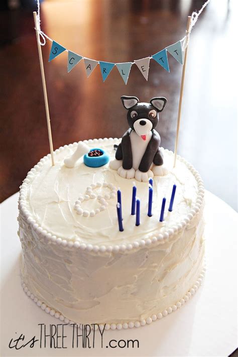 In fact, its search results are used by many other websites on their website, you can find adoptable dogs and cats near you. puppy cake.20 Best Birthday Cake Near Me