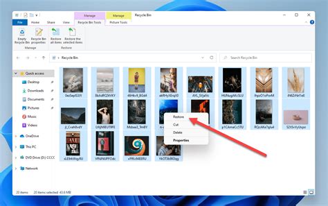 How To Recover Deleted Files From Recycle Bin After Emptying