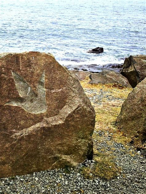 Isle Of Skye Dinosaur Tracks Isle Of Skye Scotland Atlas Obscura