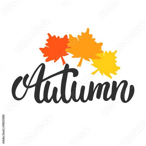 Autumn Hand Drawn Lettering Phrase Isolated On The White Background