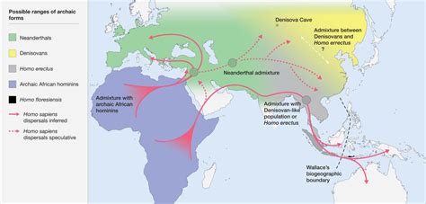 Homo Sapiens Developed A New Ecological Niche That Separated It From Other Hominins Max Planck