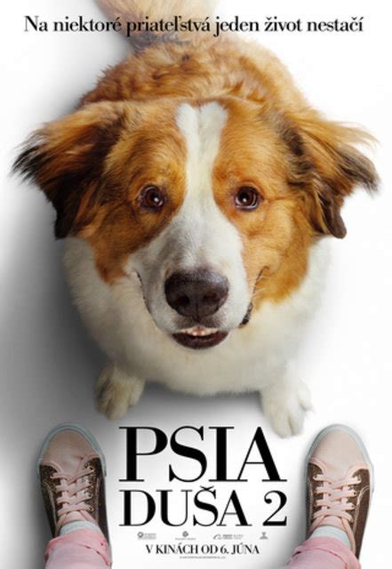 film.hu egy kutya négy útja (2019) teljes film magyarul online hd. PSIA DUŠA 2 - Egy kutya négy útja - program a vstupenky ...