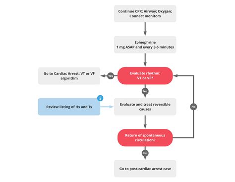 Acls Cardiac Arrest Algorithm