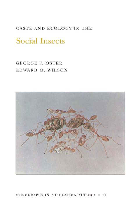 Caste And Ecology In The Social Insects Mpb 12 Volume 12