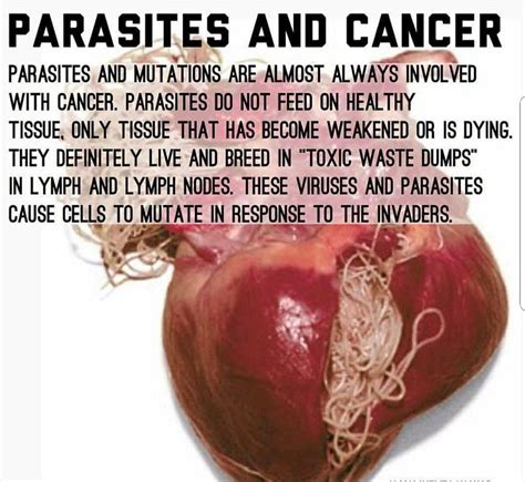 Parasite Detox Cleanse Empress Organics