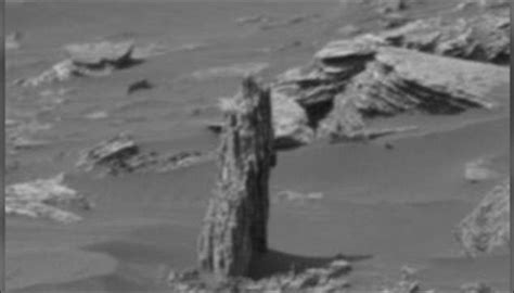 Tree On Mars Existence Of Vegetation On Red Planet